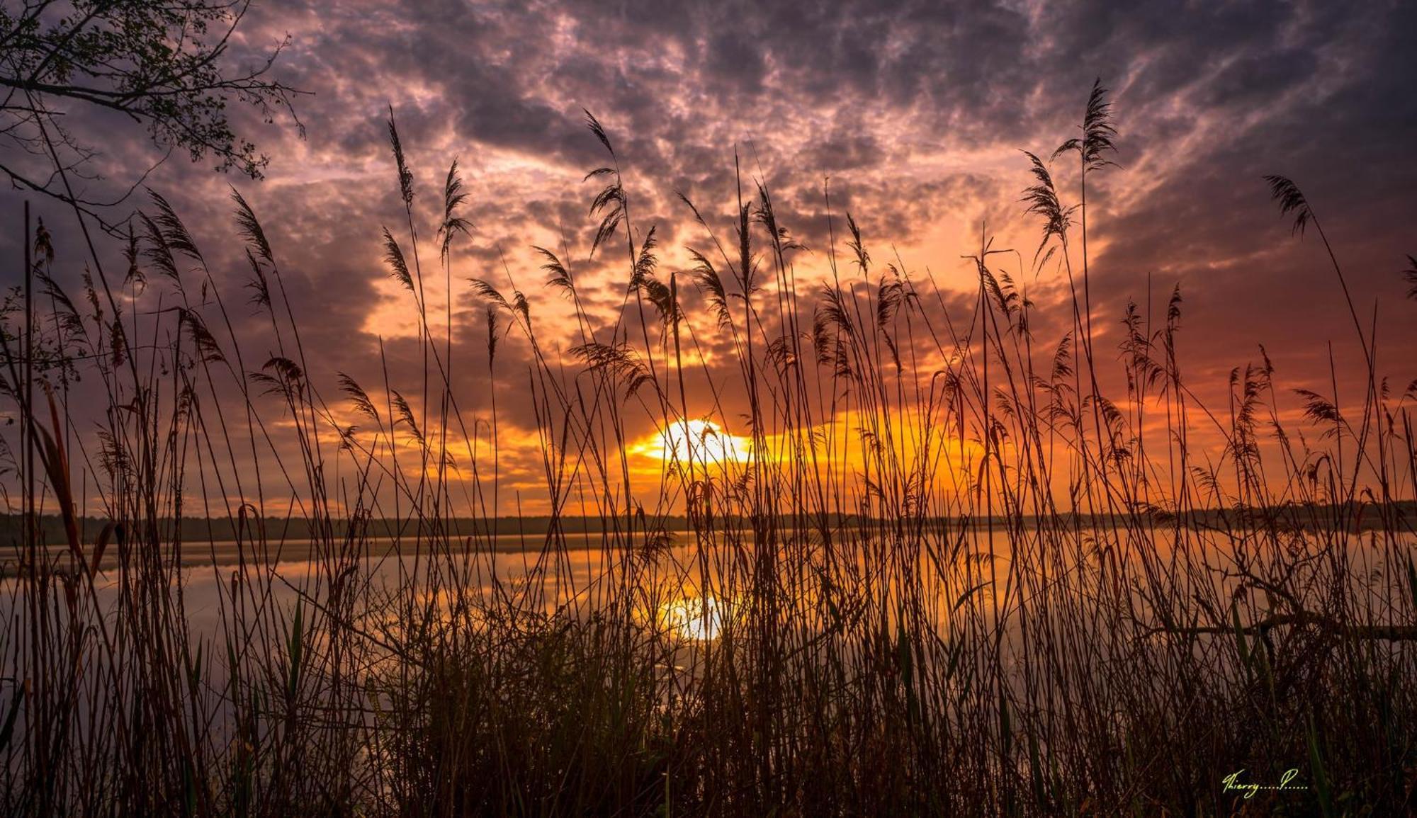 Vk Lake Aureilhan  Exteriör bild